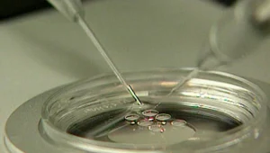 ביציות הוחזרו למטופלת הלא נכונה