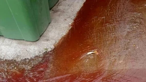 תקלה בביוב גורמת לשפכים מחרידים במיוחד