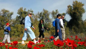 עלייה משמעותית בטמפרטורות ופריחות בכל רחבי הארץ