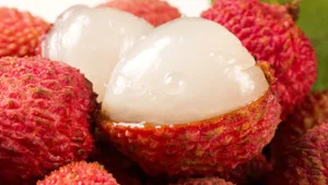 רעלן בליצ'י הורג