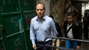 צרחות ועקיצות