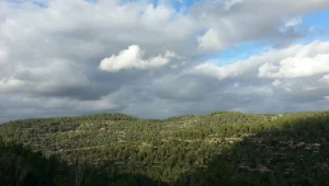 מתקרר אבל נוח לטיולים, קיים סיכוי לגשם קל