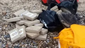 כלב החליט לעשות את צרכיו על סמים בשווי של כ-230 מיליון ש"ח 