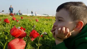 למרות ההתקררות, שמורות הטבע התמלאו