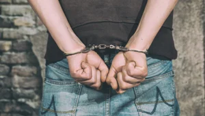 6 שנות מאסר לצעיר שטלטל את אחייניתו