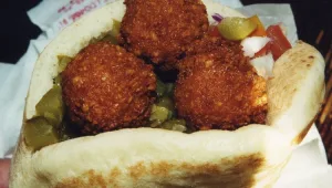 תקנון פעילות מנת הרחוב שלכם