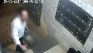 לכד חתולים - והשליך אותם אל מותם