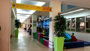 האם פגעה גם בילדיה האחרים