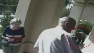 ודוב מחכה להם במרפסת