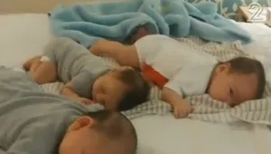 טסו לפונדקאות במקסיקו - ותקועים שם בשל שינויי חקיקה