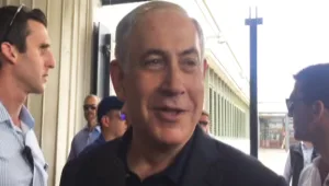 "בארץ יש כרישים"