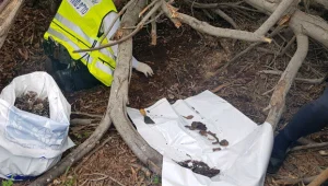 "מחדל, שכחו את עצמות אבי בשטח"