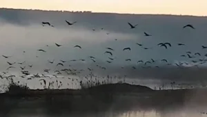השבת השמשית הוציאה אלפי מטיילים לשמורות הטבע