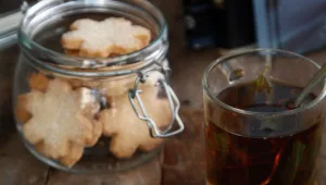 עוגיות תפוז שוקולד בציפוי בצק סוכר