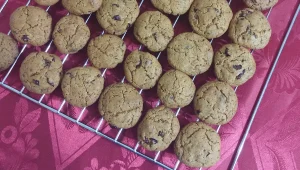 עוגיות חמאה, חמוציות ושוקולד