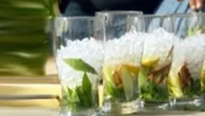 משקה נענע משמש ולימונים