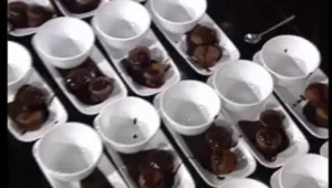 עוגות שוקולד קטנטנות