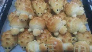 לחמניות קיפוד