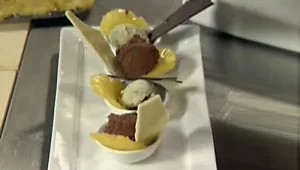 זברה שוקולד