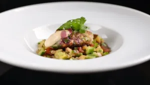 קציצות פרגית