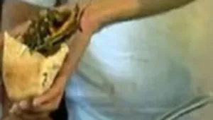 מעורב רמלה ת"א