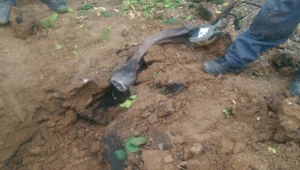 - סיכום חדשות השבת