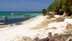 שלפו את הדרכונים: לאן כדאי לטוס ב-2017?