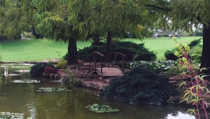 האם זה הפארק היפה בעולם?