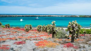 אבודים? 10 איים לבקר בהם לפני שמתים
