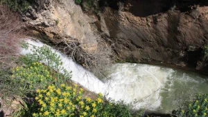 מסלול משפחתי לשבת חמה באצבע הגליל