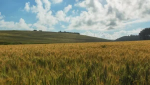 שבת אביבית, מומלץ לטייל