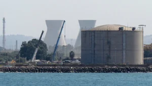 "לא לאפשר הכנסת אמוניה"