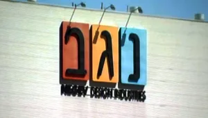 תכשיטים וטיסות על חשבון העסק