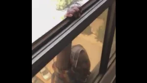 נתלית מהחלון ומתחננת לעזרה - ובמקום עזרה היא מצולמת