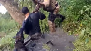 כלב משטרתי אחד נגד 2 שודדים חמושים