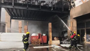 4 פונו במצב קל