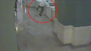 החשוד ברצח קפץ למותו - בעת שהובא למשפט