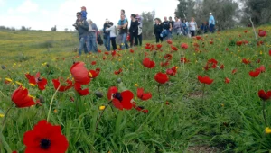 התחממות קלה