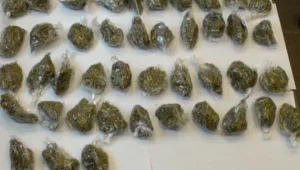 סוכן סמוי הפליל 25 סוחרי סמים