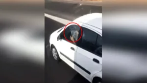 את זה עוד לא ראינו: נהג תועד קורא עיתון בנהיגה