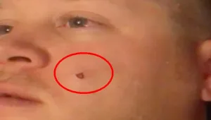 על זוגיות וחצ'קונים: רעש אדיר בבריטניה עקב פיצוץ חצ'קון ענק