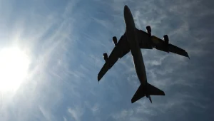 ישראלי אכל מנה במהלך הטיסה - ומת