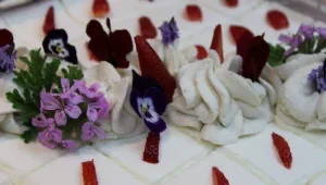 איטלקיה בחצר של המשק