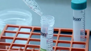 זינוק במספר טיפולי הפרייה בישראל