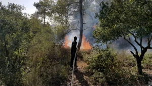 שריפת קוצים גדולה