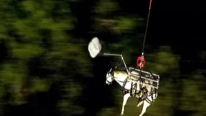 "טרמפ" במסוק לסוס שנתקע על הר