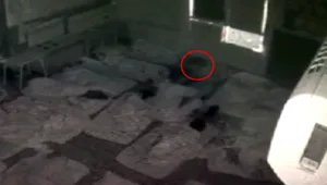  כלפי סייעת שהדפה בעוצמה ילדה ופוטרה