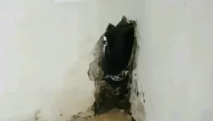 רטיבות וחורים בקי