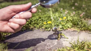 חפשו ומצאו תוכן בקלי קלות