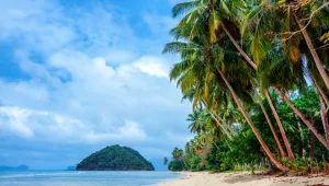 מה הייתם לוקחים לאי בודד?